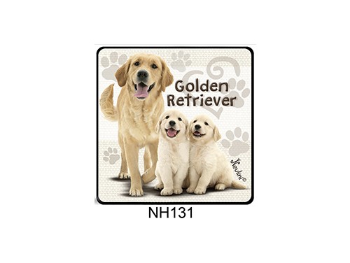 (NH131) Hűtőmágnes 7,5 cm x 7,5 cm - Golden Retriever – Kutyás ajándékok